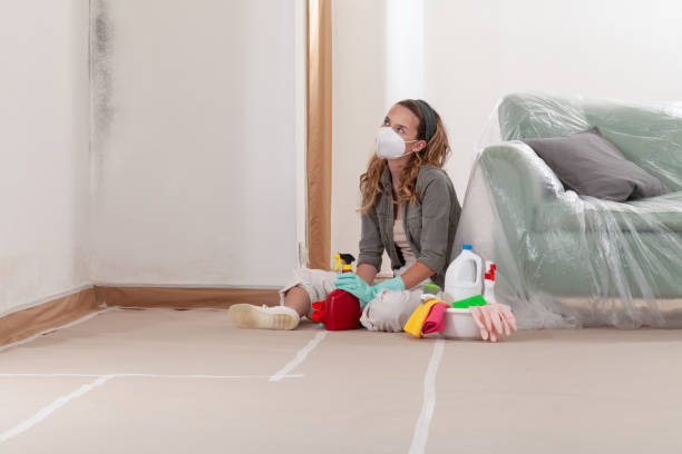 Reliable Mold Inspection And Testing contractor in Gig Harbor, WA by Mold Remediation HQ